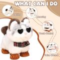 Walking Cat Toys for Kids with Leash, Plush Toy Cat That Walks and Meows, Interactive Cat Toy for Kids Aged 3-7, Best Birthday, Children's Day for Girls and Boys. 