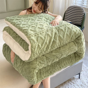 Taffeta Winter Quilt Lamb Wool Quilt Thickened Warm Single Double Student Dormitory Milk Velvet Quilt Core 200*230m