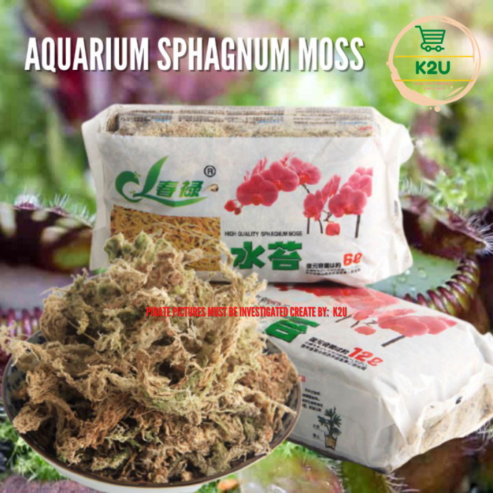 AQUARIUM Sphagnum Moss High Quality, Long Strand Sphagnum Moss Dry