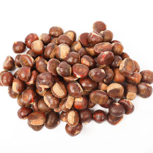 板栗เกาลัดดิบ พันธุ์ญี่ปุ่น เนื้อ หวาน มัน เหมาะสำหรับการทำอาหารและขนมหวาน