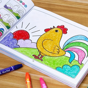 48-Page Kids Drawing & Painting Coloring Book - Educational Art Supplies for Creative Learning Gift for Boys & Girls Chinese V