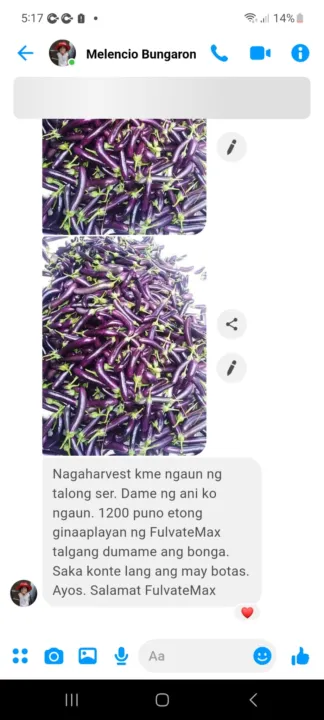 FulvateMax%20Organic%20Foliar%201%20liter%20per%201%20hectare%20Palay/Mais/Talong/Kamatis/Sili/Amplaya%20at%20iba%20pa%20-%20Image%203