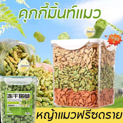 【Option World】คุกกี้มิ้นท์แมว1000g หญ้าแมวฟรีซดราย ย่อยง่า