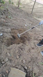 Có thể thu vào mèo xả rác xẻng hiệu quả chất thải sifter scooper cho chất thải vật nuôi làm sạch chọn lọc hiệu quả cho gà coops