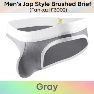 Mens Brief : Japanese Style Metallic Brushed Brief Underwear (Fankazi F3002)