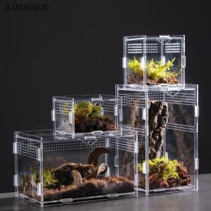 [LIXIAOJU] Acrylic Transparent Reptile Breeding Box Terrarium Habitat Insect Spider Lizard Scorpion Feeding Cage Arboreal Enclosure Case