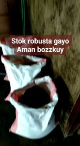 Kopi Robusta Gayo Aceh Greenbean / Biji Non Sangrai 1Kg