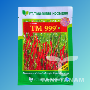 BENIH CABE KERITING HIBRIDA F1 TM THUNDER 99 10 GRAM // BENIH CABAI