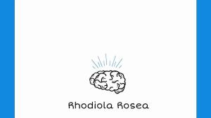Double Wood Rhodiola Rosea 500mg Capsules Daily Wellness Support [Count] Count