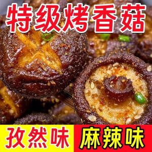 Instant Roasted Mushroom Cumin Spicy Flavor Snacks 即食烤香菇孜然味零食
