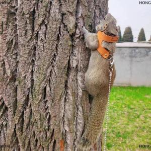 💞【Special price】💖HONG เชือกลากพื้นแบบกระรอกสำหรับฝึกกลางแจ้งอุปกรณ์สำหรับสัตว์เลี้ยงเชือกลากจูงสำหรับสัตว์เล็กปรับได้