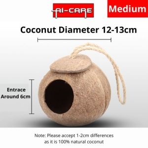 🔥 Ready Stock 🔥 Natural Coconut Shell Parrot Bird Nest Hanging With Ladder Toy House Warm Bed Anti-Bite Cage SARANG BURUNG Sugar Glider