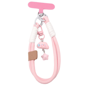 Kim loại cứng Carabiner Keychain với Polyester bện kiểu Color Block thiết kế hai giai điệu vòng chìa khóa cho phụ kiện chìa khóa