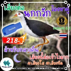 ส่งด่วน USB ยี่ห้อ Apacer เสียงต่อนกกวัก เหมาะสำหรับตอนกลางคืน เสียงนี้เข้าไวมาก เสียงชัด เสียงยาว25ชม.