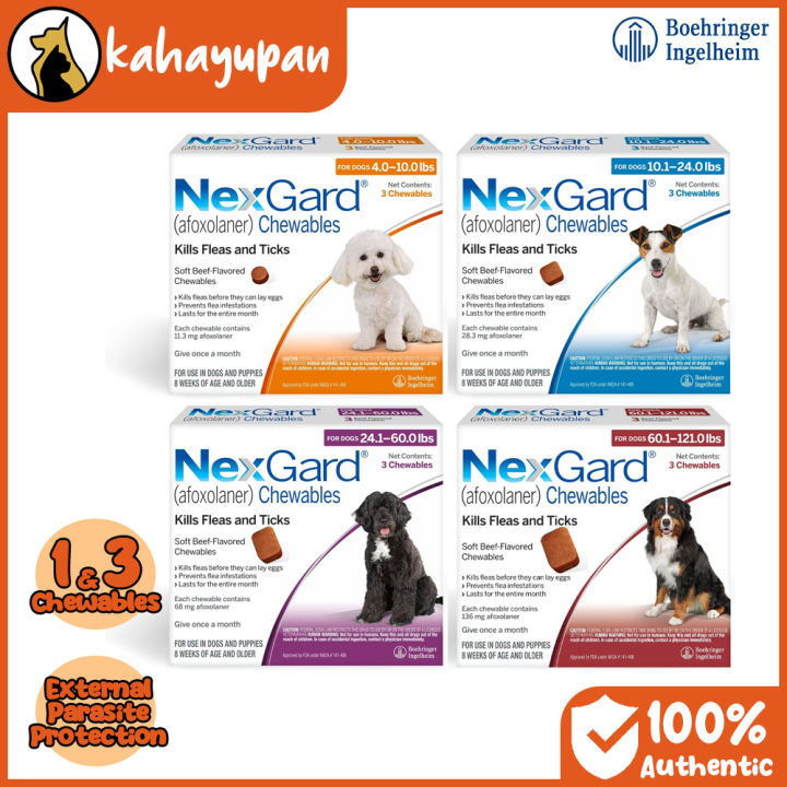 Nexgard Anti Tick and Flea External Parasite Protection Chewable for ...