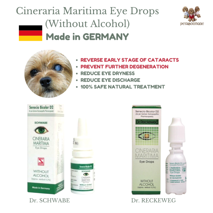 Eye Drops Reverse Cataracts In Dogs Dr Reckeweg Dr Schwabe