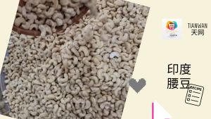 印度腰豆 l Great Ocean Raw Cashew Nut 500g