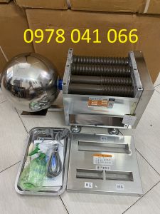 Máy vo viên bánh nhãn bằng điện gia đình DZ20