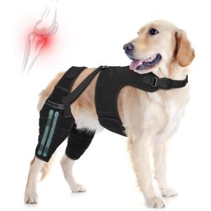 OUTOPEN Breathable Dog Knee Brace Adjustable Anti-Licking Pet Leg Support Pet Care Accessory Black Joint Protection Sleeve Wound Protection