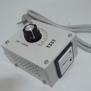 4000W AC 220V Motor Speed Controller High Power AC Motor Speed Controller for Fan Speed Motor Dimmer Variable Voltage Controller