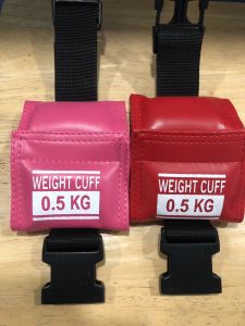 ถุงทราย รุ่นหัวล็อค (WEIGHT CUFF)คละสี