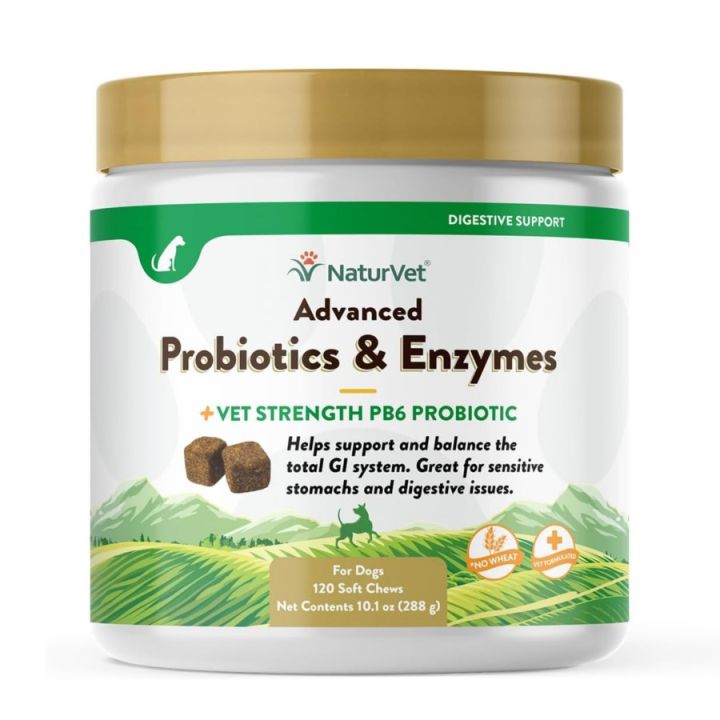 NaturVet, Advanced Probiotics & Enzymes, Plus Vet Strength PB6 ...