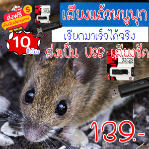 ต่อหนูพุก เสียงแอ้วหนูพุก เสียงเรียกหนู ความยาว 10 ชม.เสียงดัง เสียงใสกังวาน ได้ผล100%