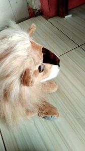 Boneka Singa Edukasi: Hadiah Ulang Tahun Dewasa & Anak