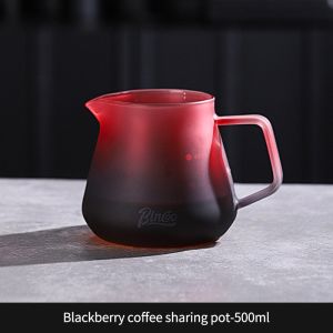 BINCOO Coffee Filter Cup Coffee Dripper Set Glass Coffee Server Hand Brew Coffee Set 500ML