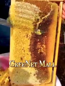 Genki Honey Summer Wild Honey （THAILAND）100% Natural 泰国元气五月蜜 纯正野生蜂蜜(1Kg)