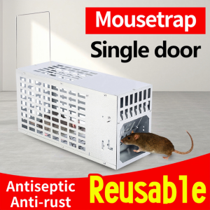 【Large stock】Humane & Reusable Multi-Catch Mouse Rat Trap Cage Pest Control (Mickey and Rats can fit in)