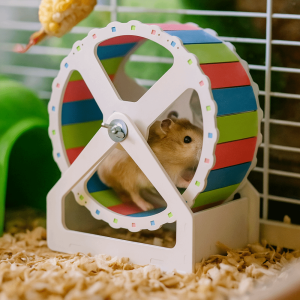 OUTOPEN Im lặng Bánh xe chạy cho chuột hamster Nhựa Cơ sở ổn định Giá đỡ cho chuột hamster Bền bỉ Đầy màu sắc Bánh xe cho động vật nhỏ dành cho động vật nhỏ