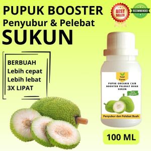 Pupuk Sukun Cepat Berbuah / Pupuk Pelebat Buah Sukun / Pupuk Booster Sukun Cair