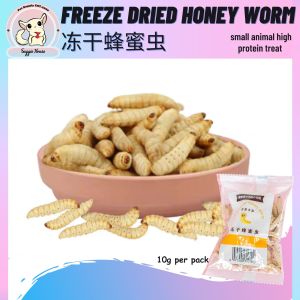 Freeze Dried Honey Worms 10g Sugar glider Hamster Hedgehog Exotic animal Treat