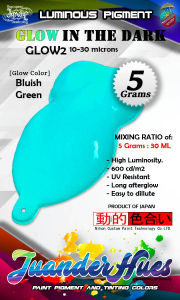 Glow in The Dark Luminous Afterglow Photoluminescent Powder Pigment Bluish Green GLOW2 Juanderhues