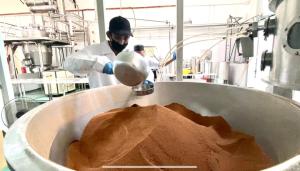 [100g]PREMIUM QUALITY Extract Powder GAMAT ASLI / GAMAT Extract Powder (mudah larut dalam air) / 100 gram / NYONYA MANIS