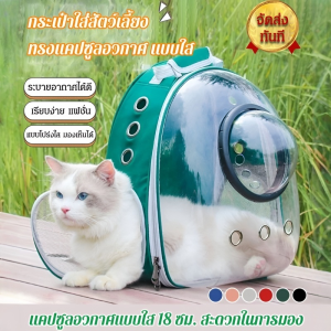 กระเป๋าเป้สะพายหลังสัตว์เลี้ยงแบบพกพา แพลตฟอร์มสัตว์เลี้ยงแบบพกพาระบายอากาศได้แบบพาโนรามา