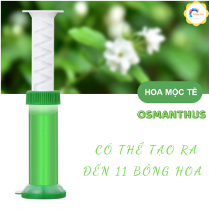 Gel khử mùi bồn cầu gel thơm khử trùng bồn cầu dạng thạch hình bông hoa với 7 mùi thơm cho toilet GEL01 Trùm Sỉ Gia Thành