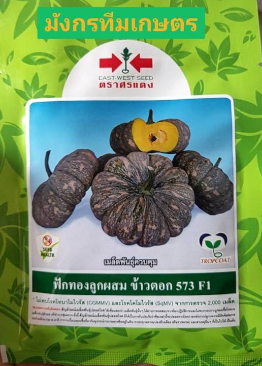 เมล็ดพันธุ์ฟักทองลายข้าวตอก 573 F1 ตราศรแดง (20 กรัม) สำหรับสวนขนาดกลาง