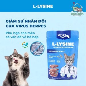 Pate Cho Mèo Mọi Lứa Tuổi MRVET Cải Thiện Tiêu Hóa Tăng Cường Miễn Dịch Túi 70gr