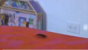 Ultrasonic Pest Reject Magnetic Repeller Insect Mosquitoes Killer Repeller Electronic Mosquito Repellent Indoor Cockroach Mosquito Insect Killer