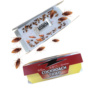 Thuốc diệt gián Cockroach - Keo bẫy gián