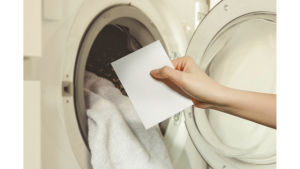 ROUGH & RAW Finice Laundry Detergent Sheets - Fresh Scent - No Plastic (40 Loads) 20 Sheets eco laundry strips (Forest scented)