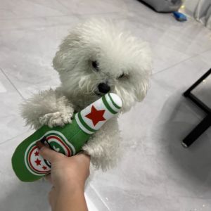 Plush Dog Toys Beer Bottle Shaped for Small & Large Dogs Bite Resistant Clean Teeth with Squeaky Interactive Function Pet Suppl
