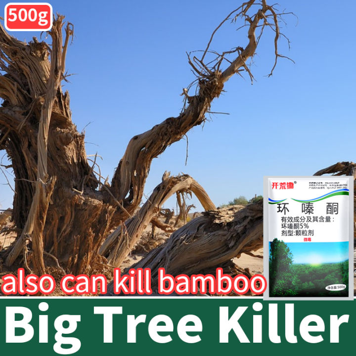 kill tree and bamboo tree killer 环嗪酮 hexazinone bamboo and root removal ...