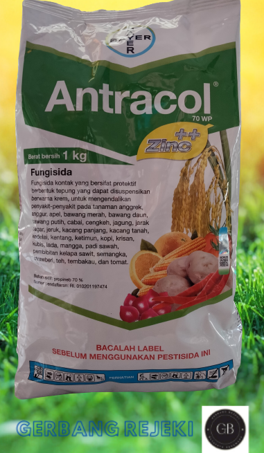 Fungisida Antracol 70 WP (Propineb 70%) 1 Kg