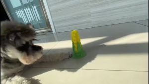 Squeaky Corn Dog Toy with Suction Cup for Teething and Boredom Relief