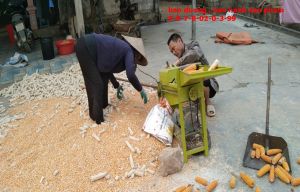 Máy  tuốt ngô sạch 90%