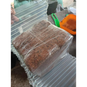 CocoPeat cocoBlock coir dust Export for plants lettuce tarantula cat litter sterilized not import EZ sterilized grapes