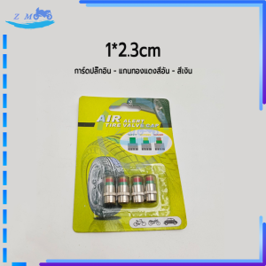 จุกลมเช็คแรงดัน จุกลมยางรถยนต์ เกจวัดความดันยางรถยนต์ 4 ชิ้นสําหรับรถยนต์รถจักรยานยนต์ วัสดุคุณภาพสูง พกพา ติดตั้งและตรวจสอบได้ง่าย แข็งแรง